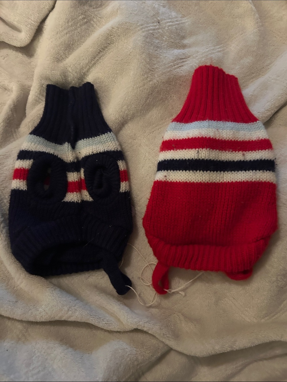 Striped Turtleneck Sweater - Red & Navy XS Chihuahua warmth duo w back stirrups